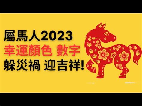 屬虎幸運數字2023